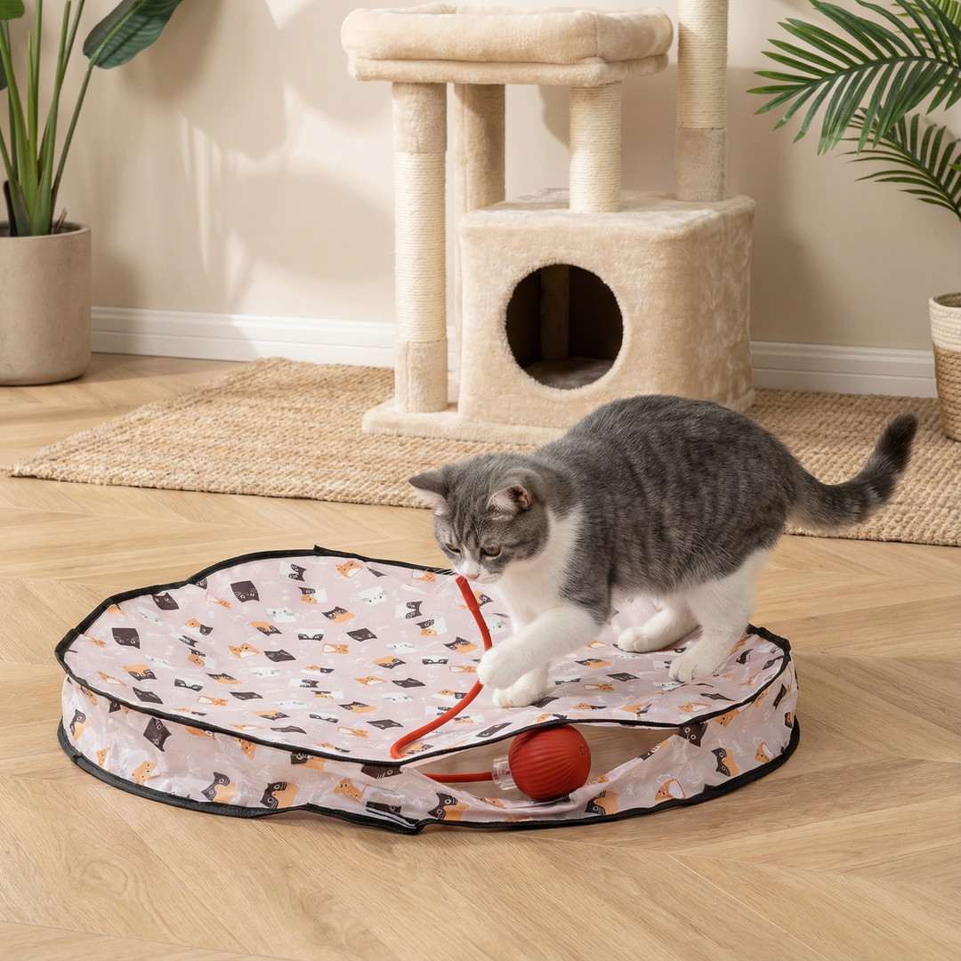Interaktives Katzenspielzeug Versteckspiel, fördert Jagdinstinkt; ideal für aktive Wohnungskatzen.
