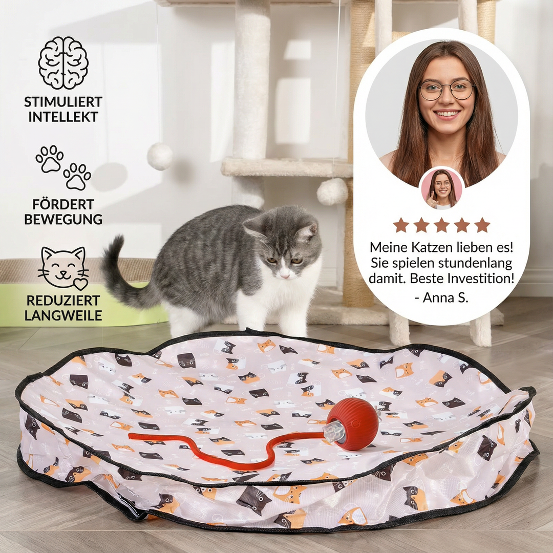 Katzen Versteckspiel mit Spielbällen; interaktives Katzenspielzeug zur Beschäftigung des Jagdtriebs.