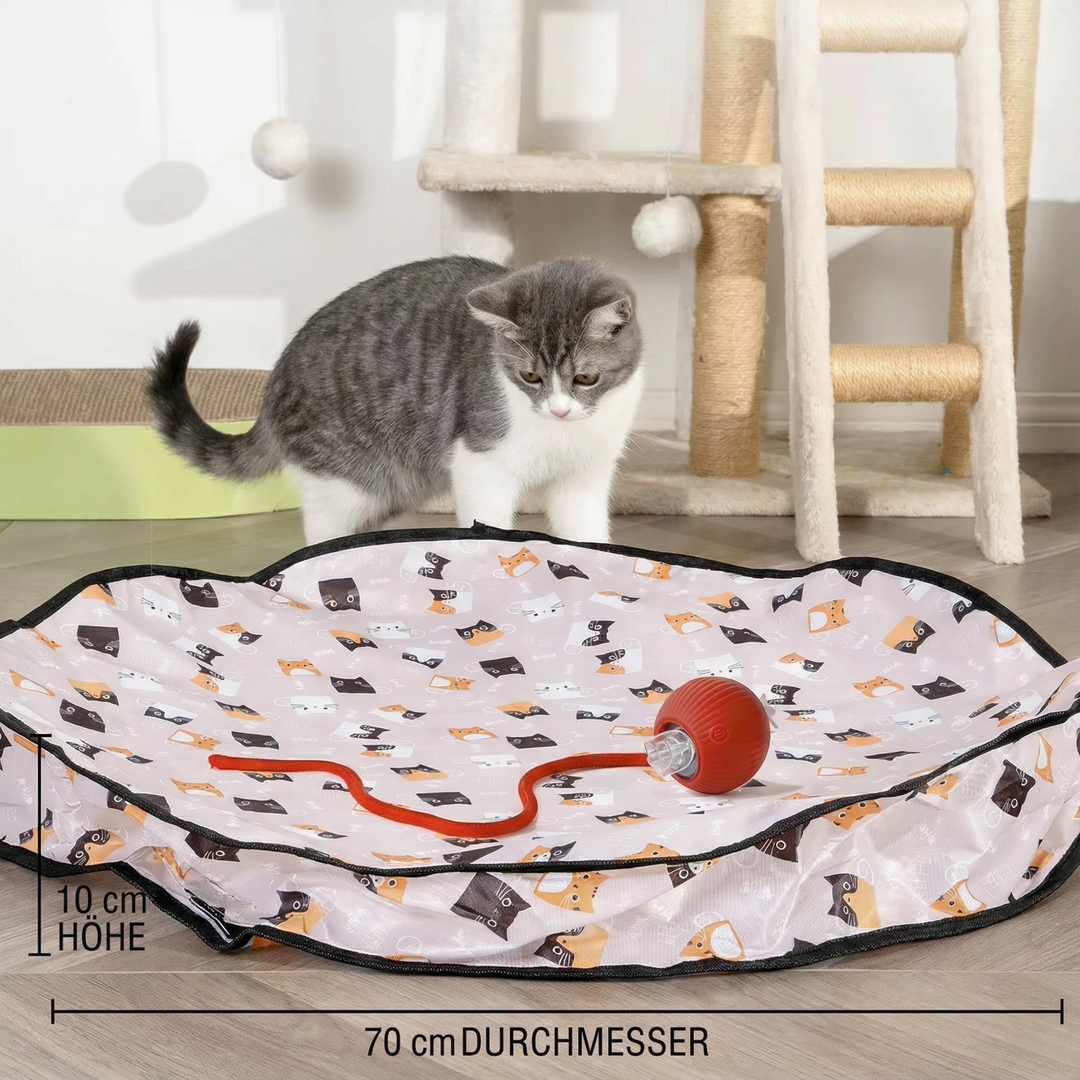 Glückliche Katze spielt mit interaktivem Versteckspiel, das den Jagdtrieb fördert; tolles Katzenzubehör.