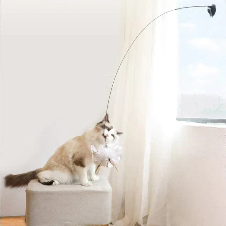 Interaktives Vogel-Katzenspielzeug: Simulation für gesunde Bewegung und Beschäftigung Ihrer Katze.