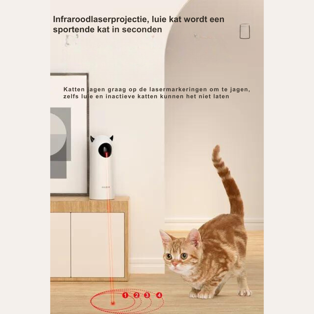 Katze jagt begeistert den roten Laserpunkt des interaktiven Katzenspielzeugs für aktive Bewegung.