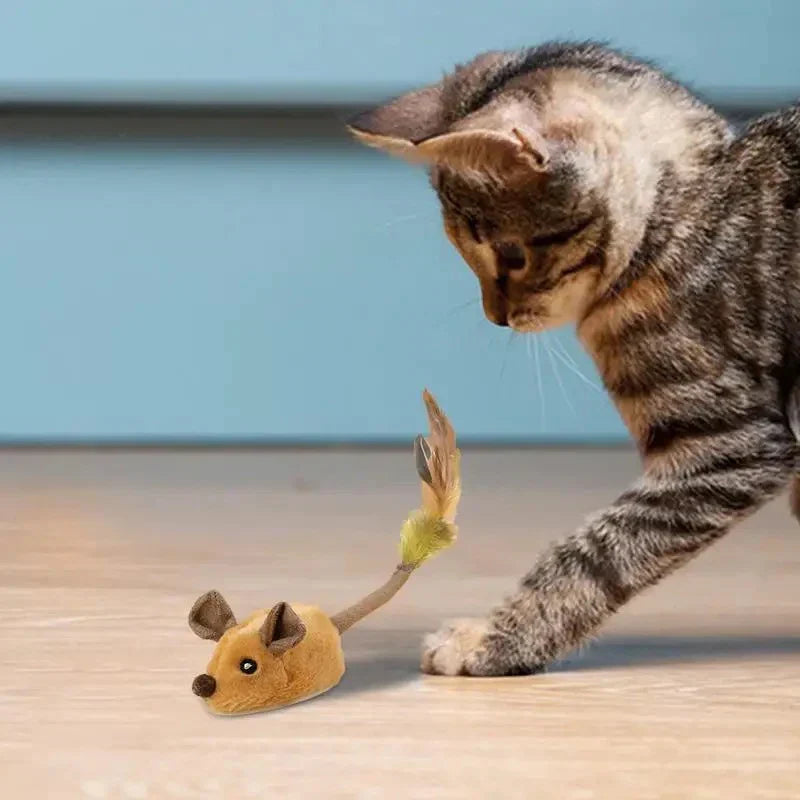 Interaktives Mäusespielzeug für Katzen, das den Jagdtrieb fördert und für Bewegung sorgt.