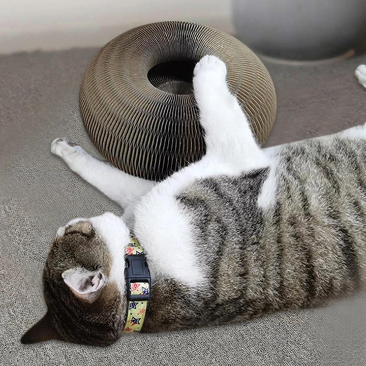 Tierbedarf: PurrFit interaktives Katzenspielzeug, fördert Aktivität, Spiel und mentale Fitness Ihrer Katze.