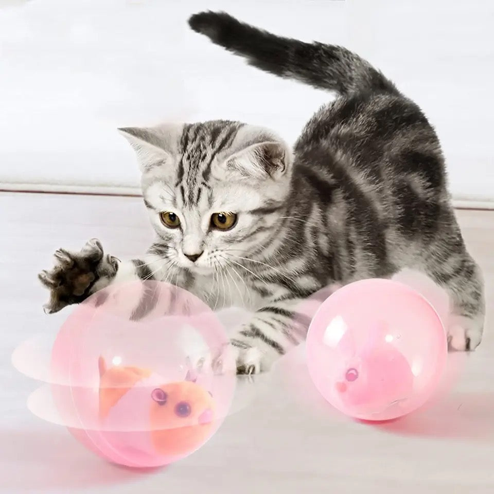Interaktives Rollendes Katzenspielzeug in Hamsterform fördert Jagdtrieb & Spielspaß. Ideal für aktive Katzen.