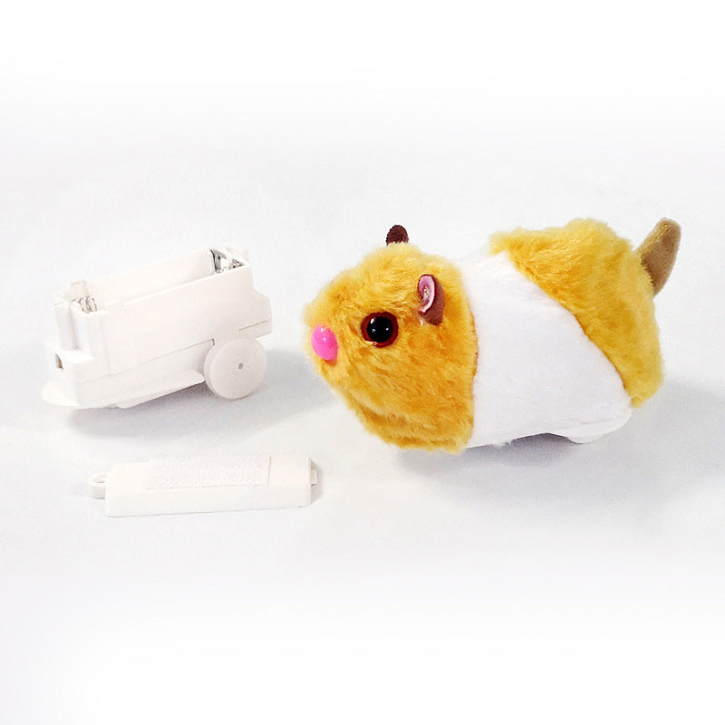 Lustiges Katzenzubehör: Rollendes Hamster-Spielzeug für interaktiven Spielspaß und zur Beschäftigung der Katze.
