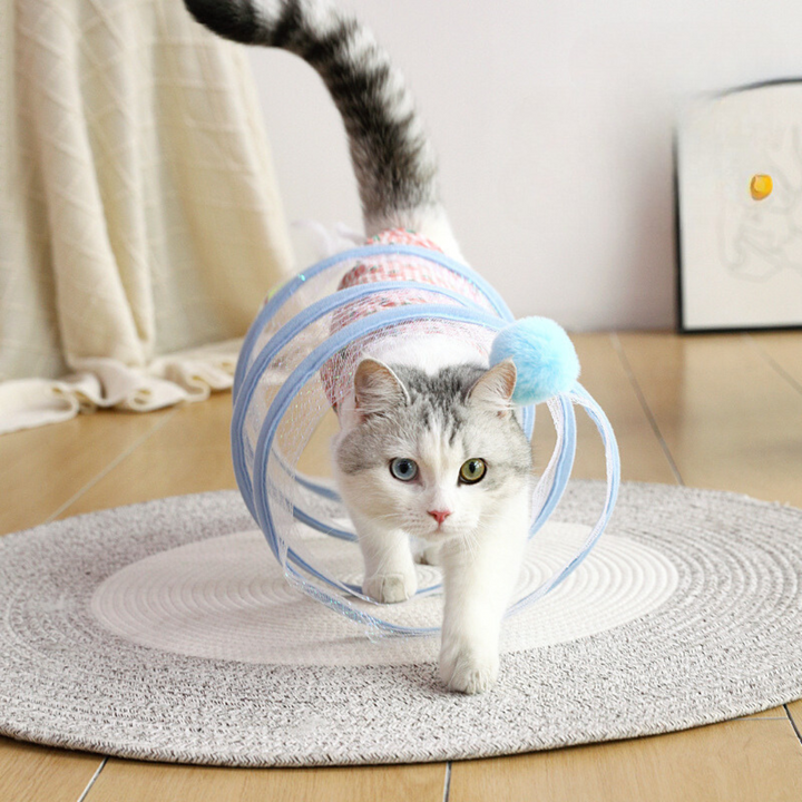 Interaktives Spiral-Katzenspielzeug im Wohnzimmer, bietet Stunden voller Spielspaß für agile Katzen.