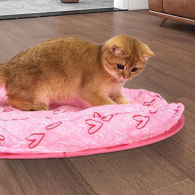 Interaktives Versteckspiel für Katzen in Grün/Rosa, fördert Spielspaß & Aktivität. Ideal als Katzenspielzeug.