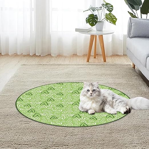 Grün-rosa Katzenspielzeug: Interaktives Versteckspiel fördert Gehirnjogging und Aktivität Ihrer Katze.