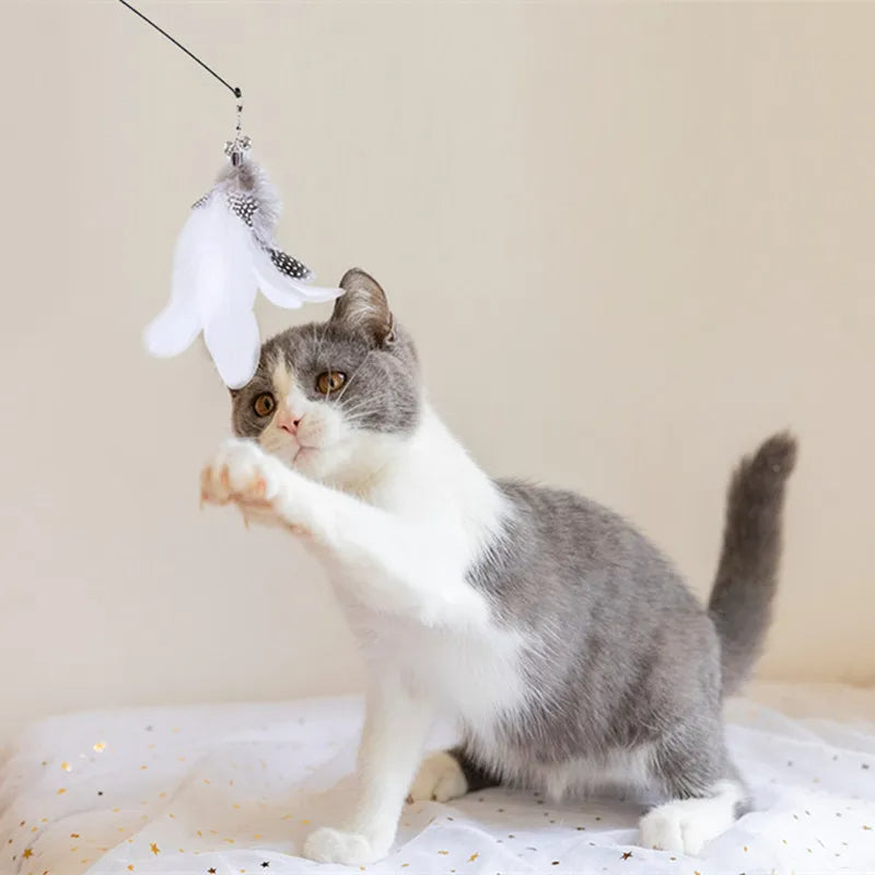 Glückliche Katze spielt begeistert mit dem interaktiven Vogel-Katzenspielzeug, weckt den Jagdinstinkt.