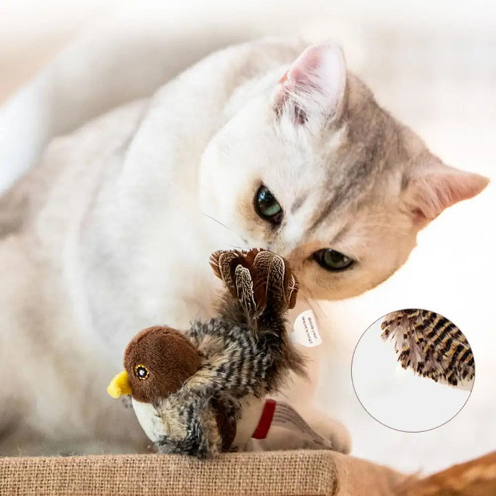 Weiches Plüsch-Vogelspielzeug für Katzen, interaktiv und zwitschernd; animiert die Katze zum Jagen und Spielen.