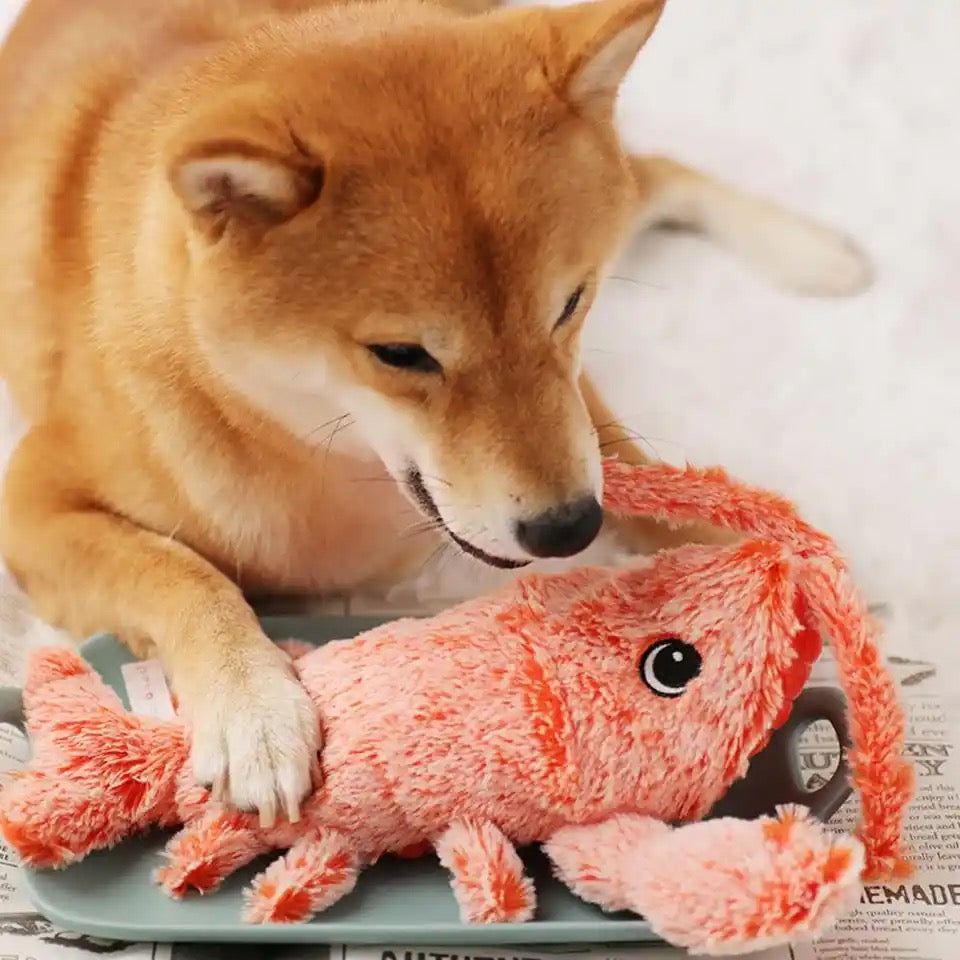 Interaktives Wackel-Hummer Hundespielzeug zur Beschäftigung, ideal gegen Langeweile & für Welpen.