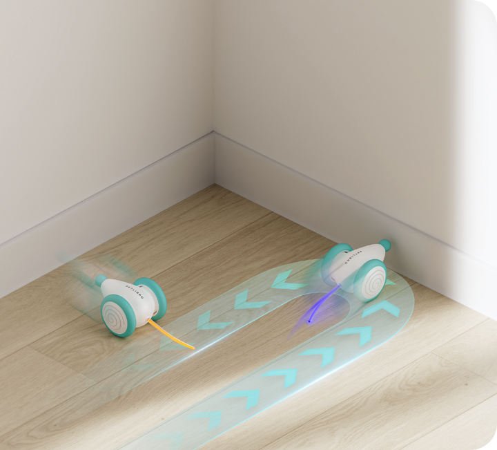 Automatisches interaktives Katzenspielzeug WhiskerPlay für aktive Spielstunden, robust, blau & creme.