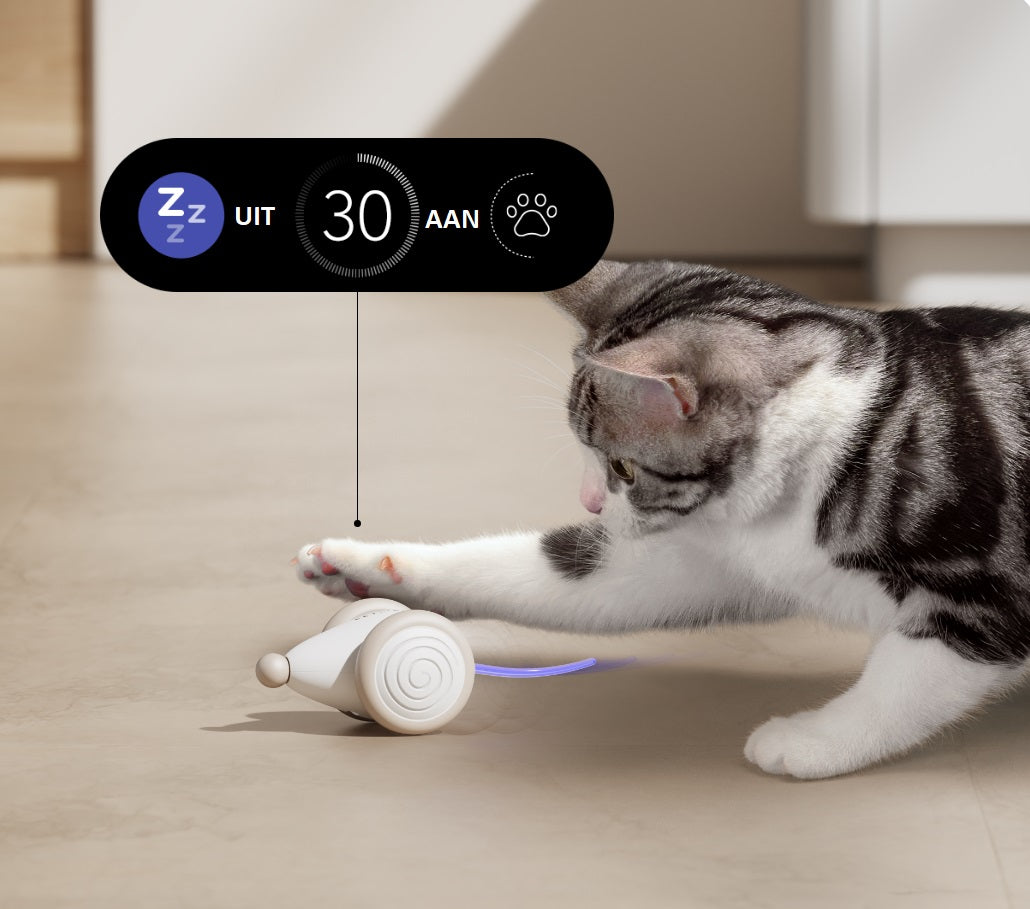 WhiskerPlay Kauspielzeug für Katzen, robust & interaktiv, sorgt für stundenlangen Spielspaß, blau-creme.