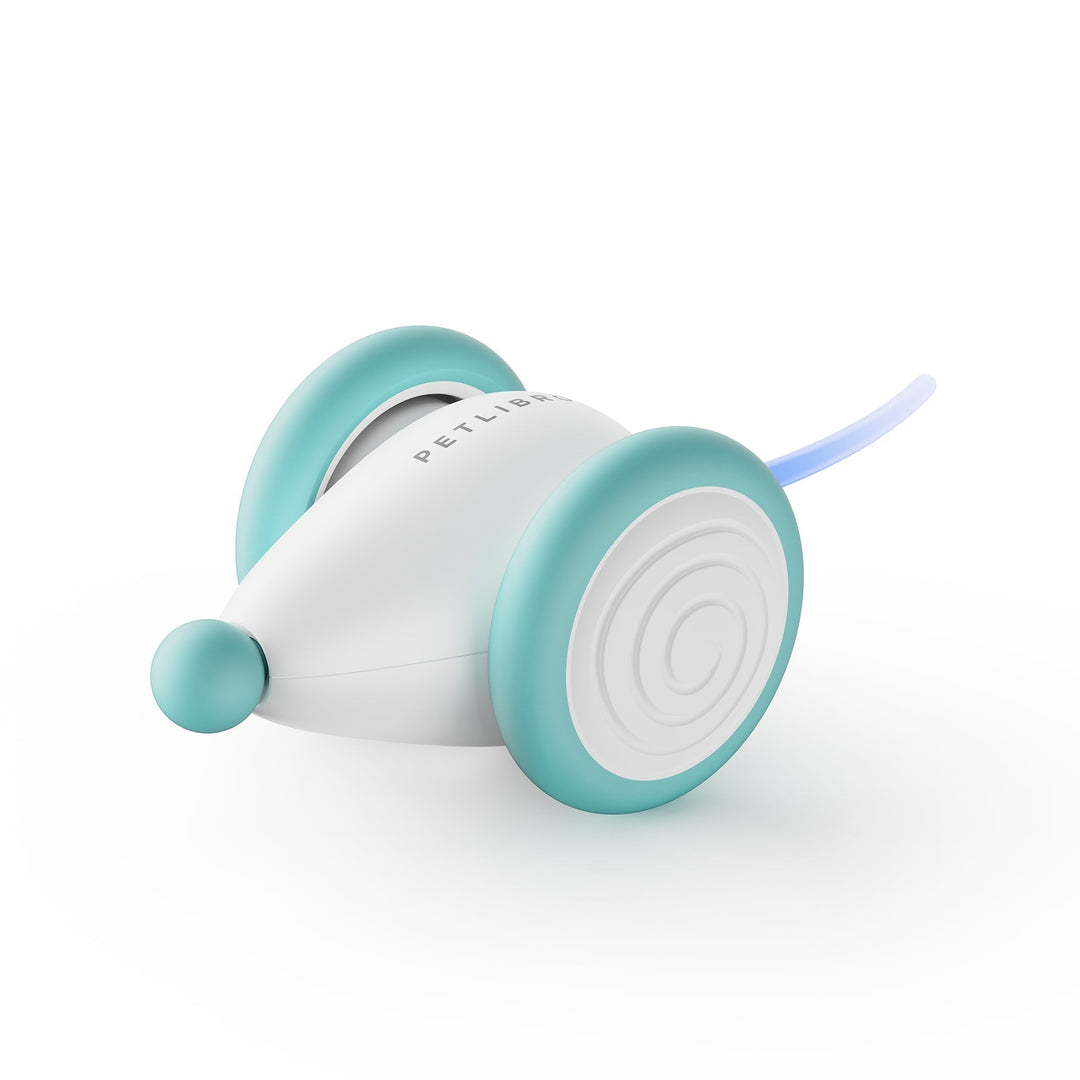 Intelligentes, automatisches Katzenspielzeug WhiskerPlay, robustes Kauspielzeug blau-creme.