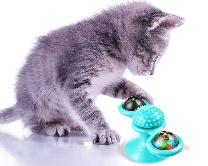 Aktive Katze dreht interaktives WhirlPlay Windmühlen-Spielzeug. Perfekt für Spiel & Jagdinstinkte.