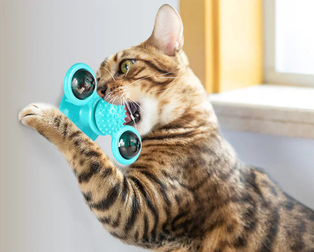 Nahaufnahme: WhirlPlay Katzenspielzeug mit Zahnpflege-Bürsten und Fächern für Katzenminze.
