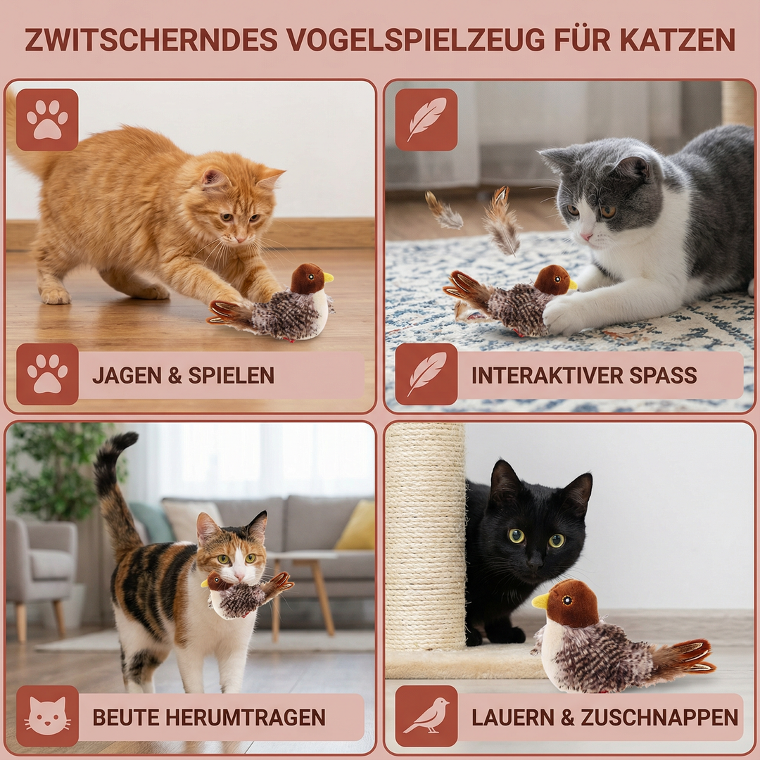 Interaktives Vogel-Katzenspielzeug, perfekt für Wohnungskatzen. Stimuliert den Spieltrieb & reduziert Langeweile.