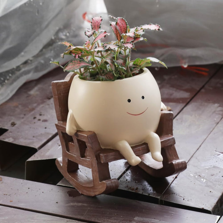 JollyPot Schaukel-Pflanzgefäß für Sukkulenten. Charmante Gartendeko für lebendiges Grün.