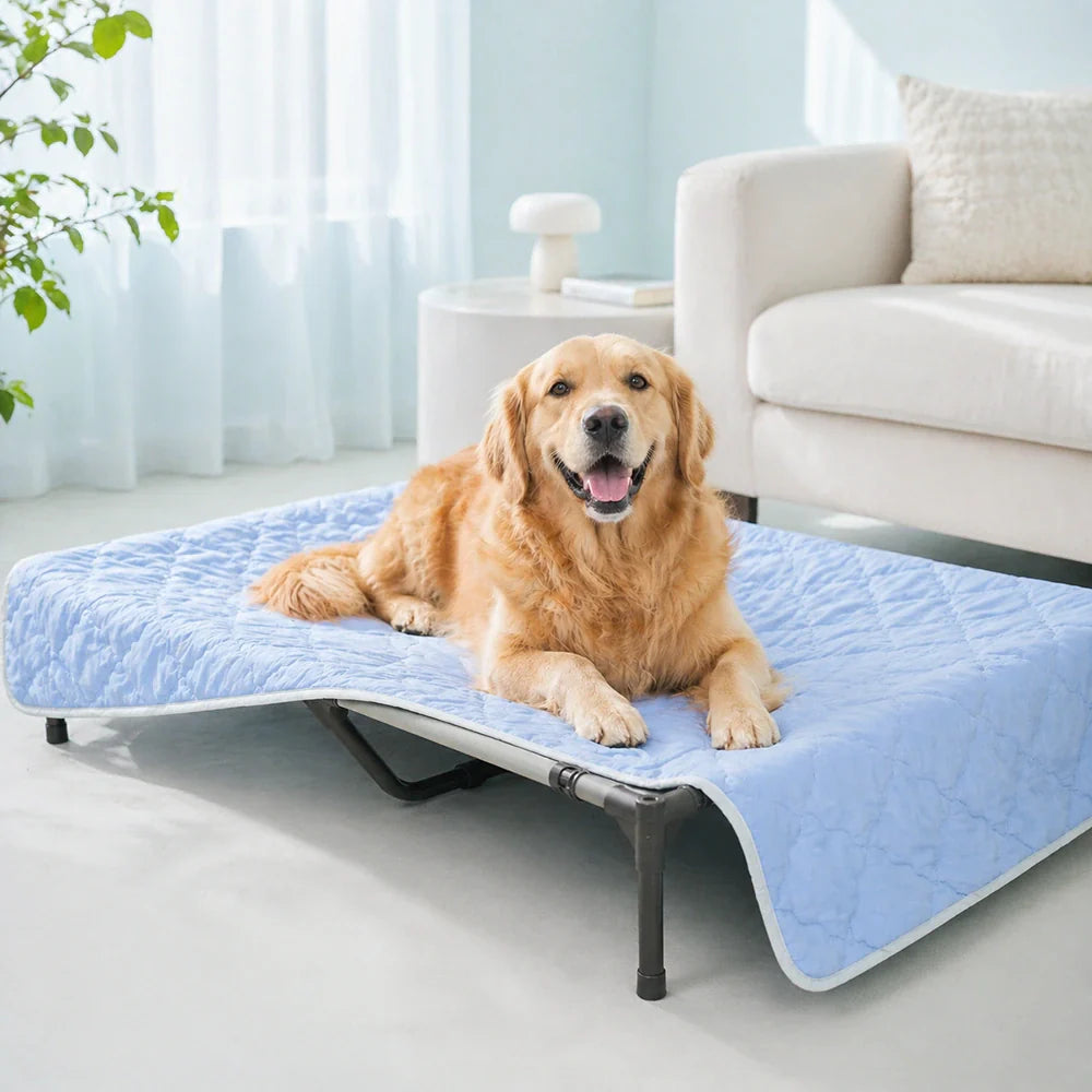 Premium Kühlmatte Hundedecke. Waschbar & atmungsaktiv für entspannte heiße Sommertage.