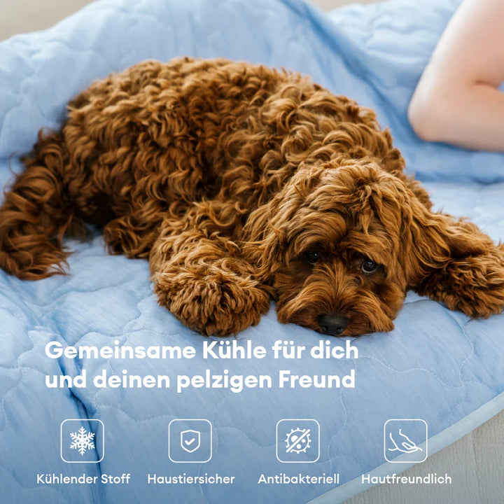 Atmungsaktive Kühlmatte für Haustiere. Sichert Tierkomfort & effektive Kühlung im Sommer.