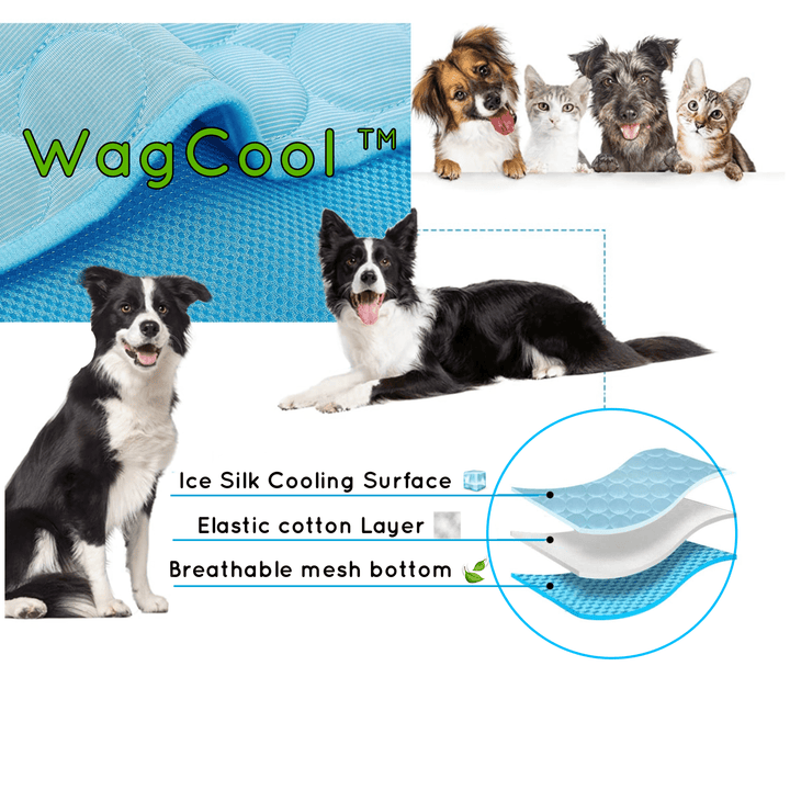 Waschbare, tragbare Kühlmatte für Hunde, ideal für unterwegs & Zuhause im Sommer.