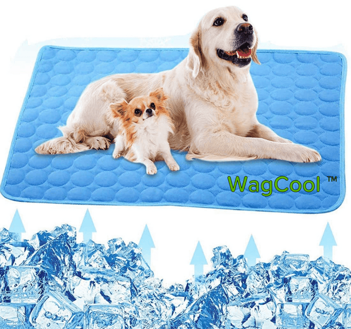 Weiche Kühlmatte als Hundebett für entspannten Schlaf & Komfort an heißen Sommertagen.