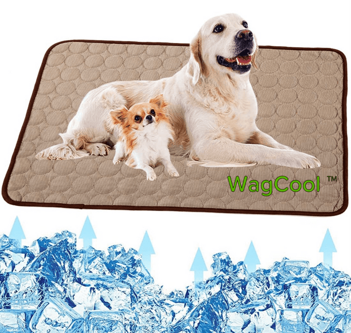 Labrador liegt entspannt auf der CoolPet Kühlmatte, genießt die Sommerkühlung.