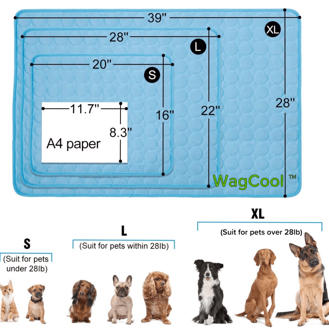Innovative Kühlmatte für Hunde & Katzen, perfekte Alternative zum Hundebett im Sommer.