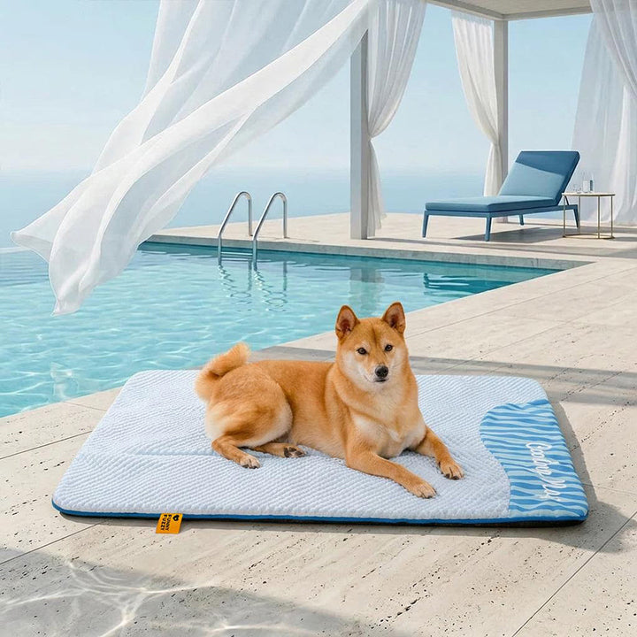 Kühlende Hundematte für Sommer; rutschfest & waschbar. Ideal für Outdoor & Zuhause.