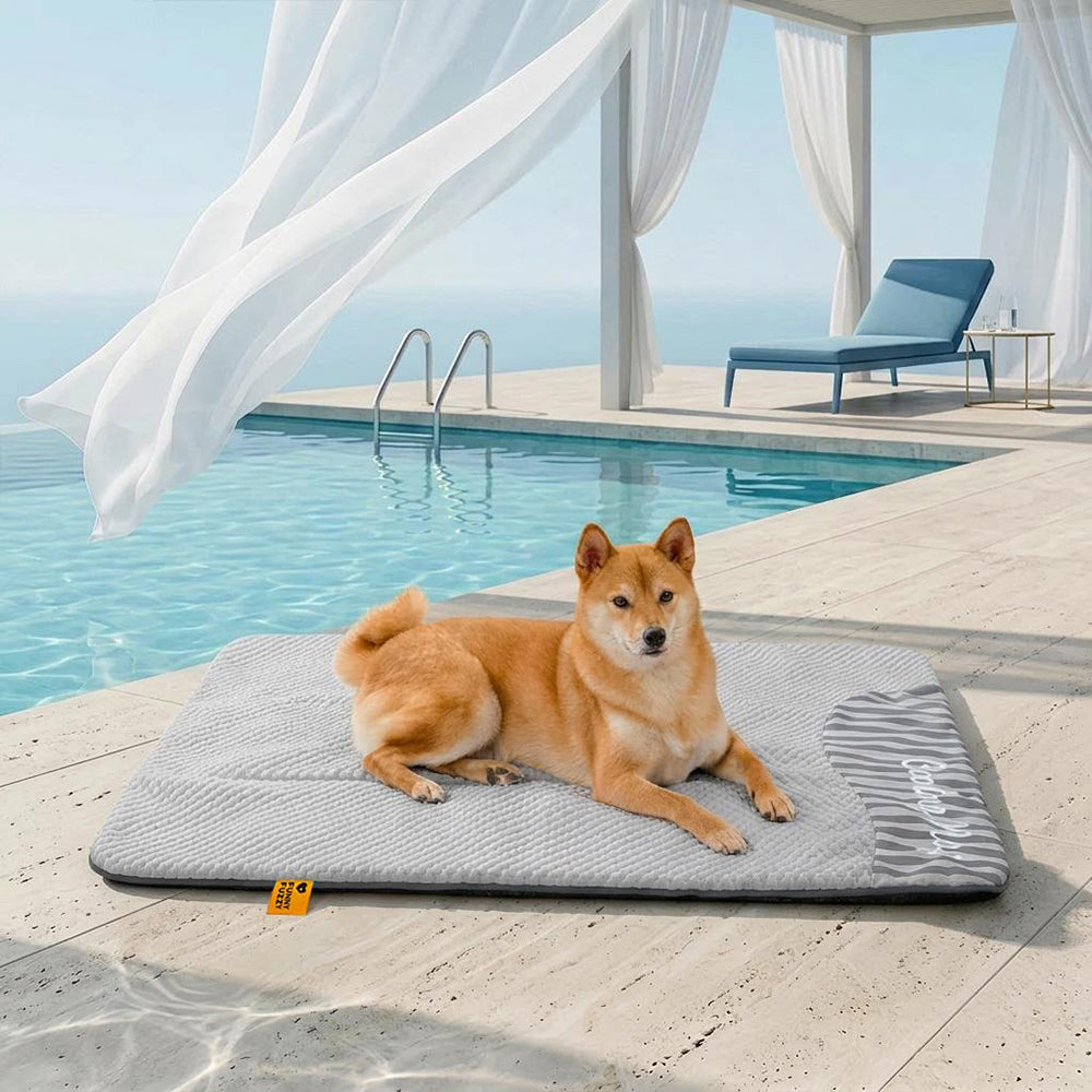 Sommerliche Kühlmatte für Hunde, rutschfest & atmungsaktiv. Fördert erholsamen Schlaf.