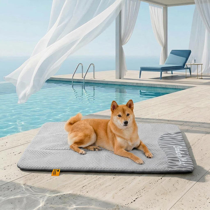 Sommerliche Kühlmatte für Hunde, rutschfest & atmungsaktiv. Fördert erholsamen Schlaf.