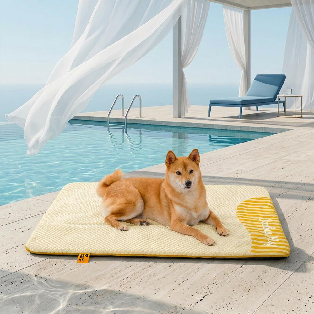 Hundematte kühlend, waschbar. Rutschfest für Outdoor & Zuhause, bietet Erfrischung.