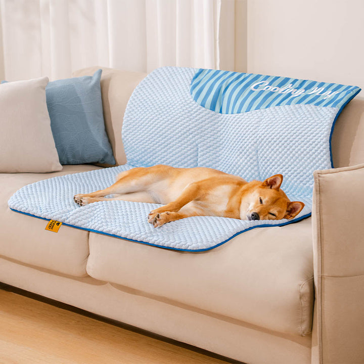 Robuste Hundekühlmatte, rutschfest für sicheren Halt. Ultimativer Sommerkomfort für Haustiere.