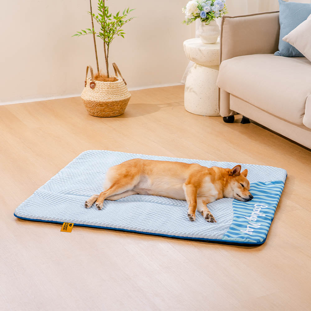 Waschbare Kühlmatte für Hunde, langlebig & hygienisch. Perfekt für heiße Sommertage.