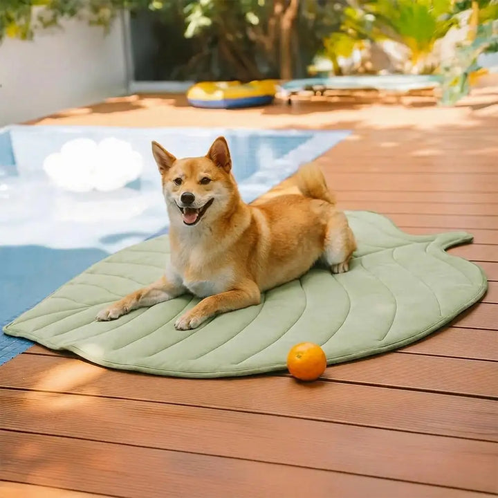Kühlende Hundematte in Blattform für Sommerkomfort. Rutschfeste Kühlmatte für Hunde, grün/blau.