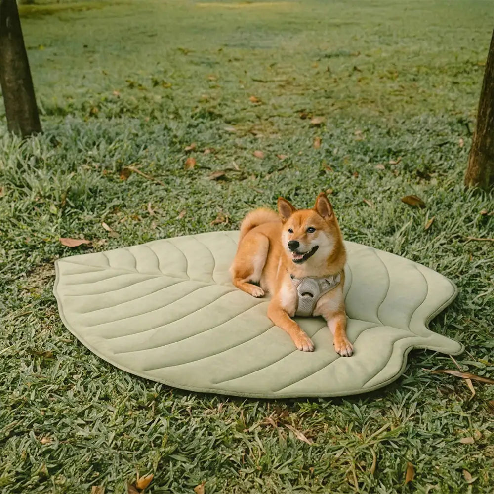 Rutschfeste, kühlende Hundematte mit Blattdesign. Komfortables Haustierzubehör für den Sommer, grün/blau.