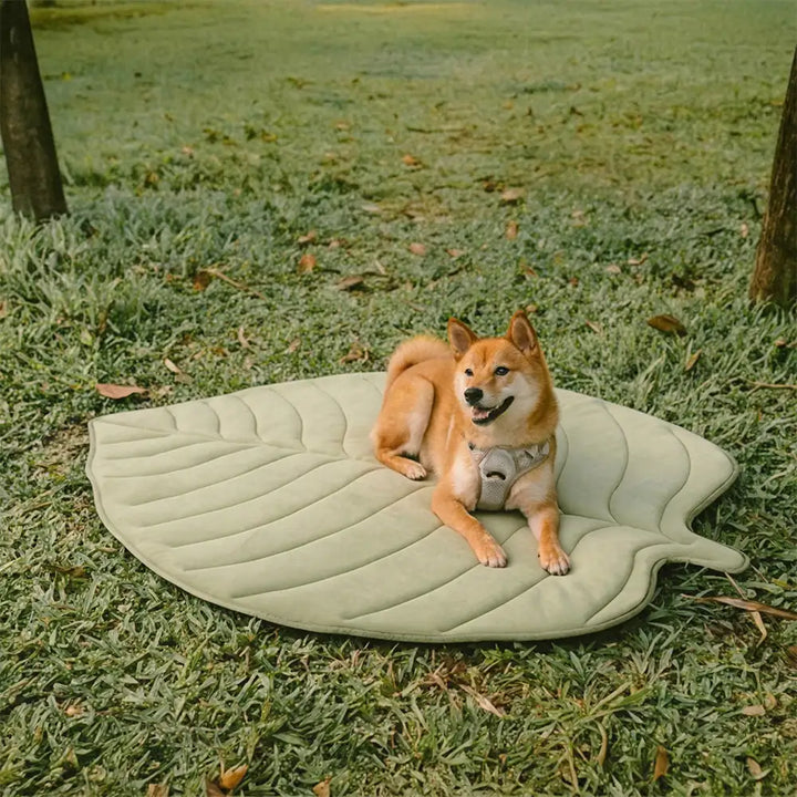 Rutschfeste, kühlende Hundematte mit Blattdesign. Komfortables Haustierzubehör für den Sommer, grün/blau.