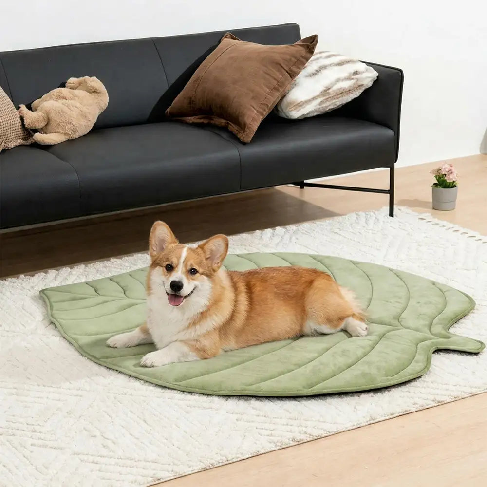 Komfortable, rutschfeste Hundematte in Blattform. Kühlmatte für Haustiere, ideal für den Sommer.