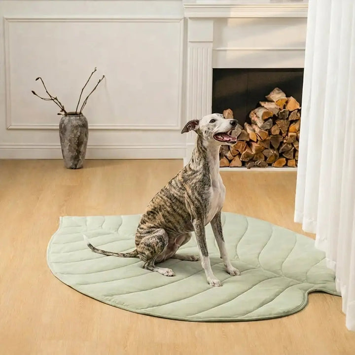 Sommerliche Kühlmatte für Hunde, Blattform-Design. Rutschfestes Haustierzubehör für entspannte Tage.