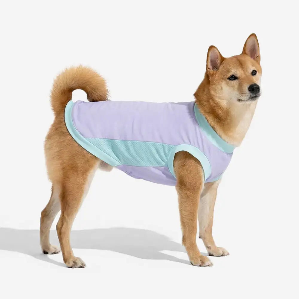 Lila Hundeweste mit Sonnenschutz schützt Ihren Hund im Sommer; leicht, atmungsaktiv & kühlend für Outdoor-Aktivitäten.