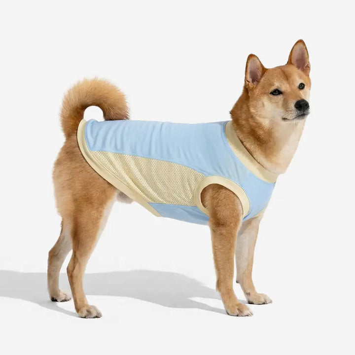 Blaue Hundeweste mit integriertem Sonnenschutz und Kühlfunktion für Hunde; perfekt für heiße Sommertage und Spaziergänge.