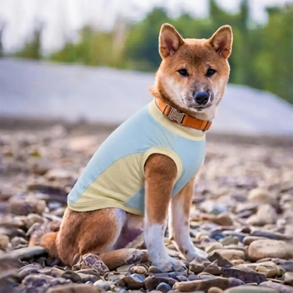 Sonnenschutz-Hundeweste hält Ihren Hund kühl und sicher vor UV-Strahlen; atmungsaktives Design für den Sommer.