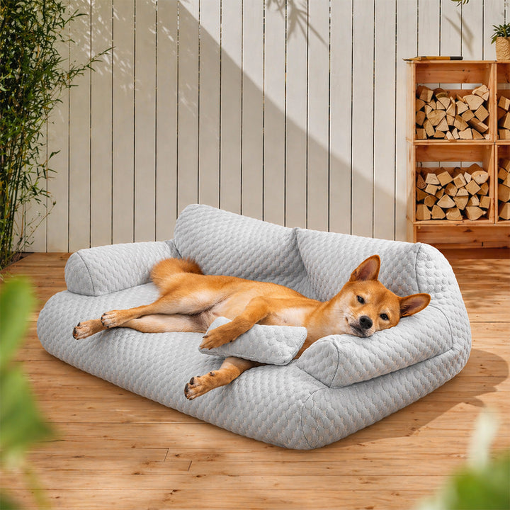 Entspannter Hund auf atmungsaktivem Eisseide-Hundesofa. Das perfekte Sommerbett für Ihr Haustier.