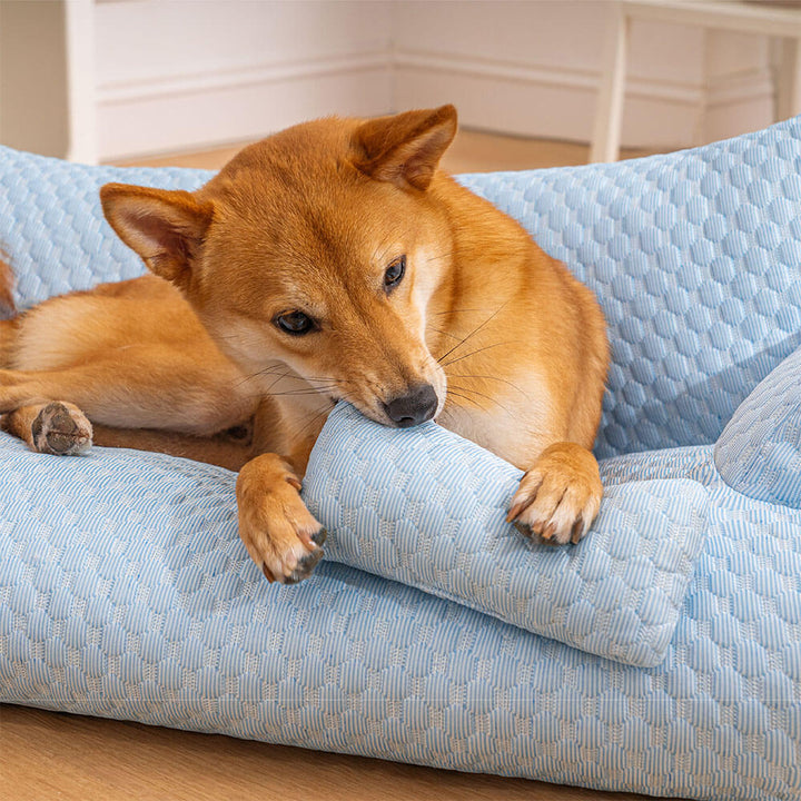 Outdoor-Hundebett aus Eisseide. Kühlend, waschbar und atmungsaktiv für den Garten oder Balkon.