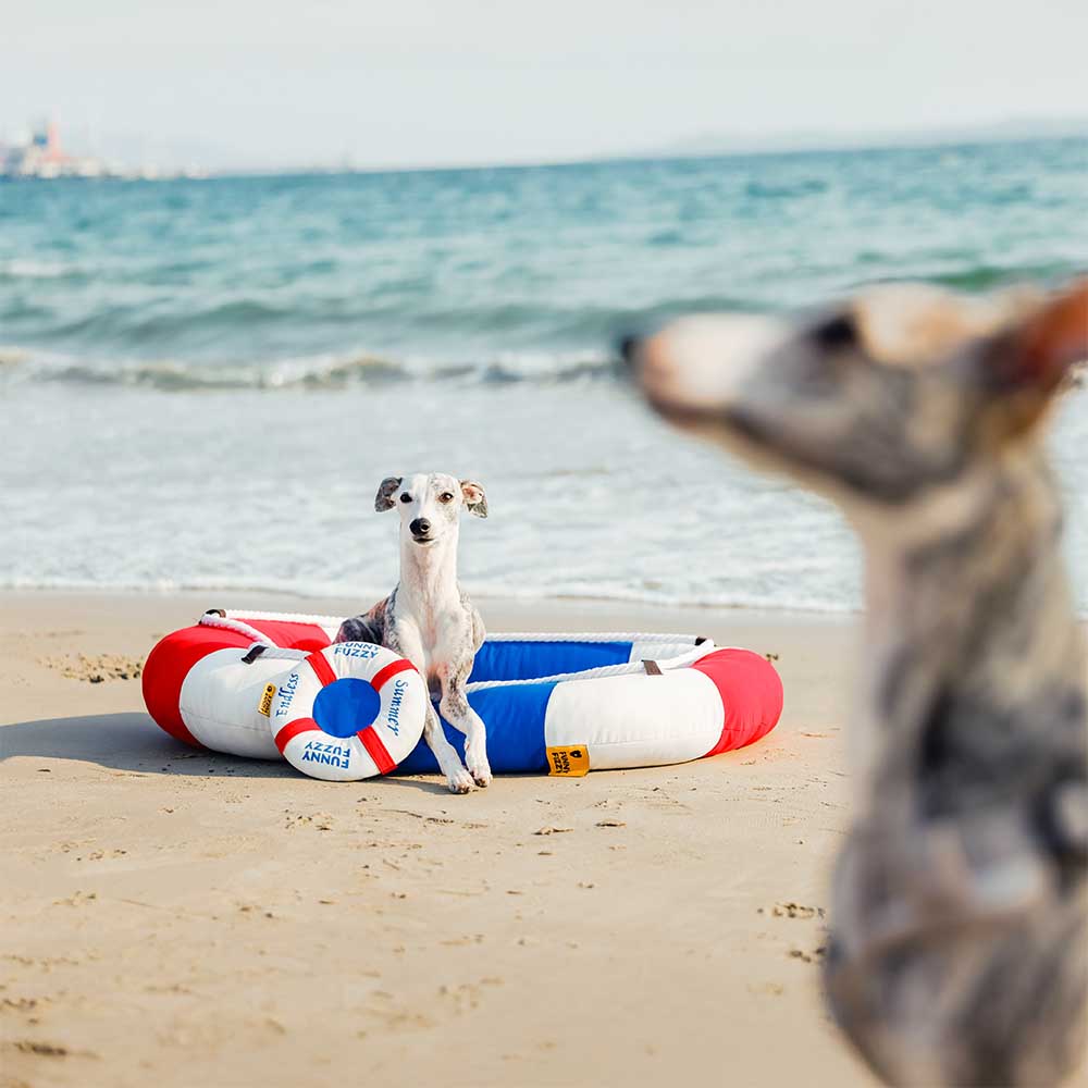 Entspannendes Sommer-Katzenbett, kühlend & wasserdicht, pflegeleicht & rutschfest für drinnen & draußen.