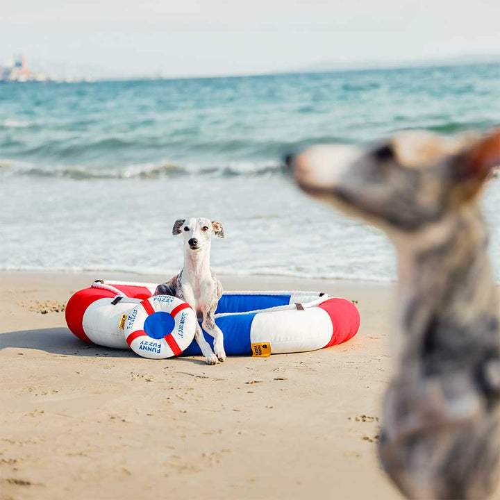 Entspannendes Sommer-Katzenbett, kühlend & wasserdicht, pflegeleicht & rutschfest für drinnen & draußen.
