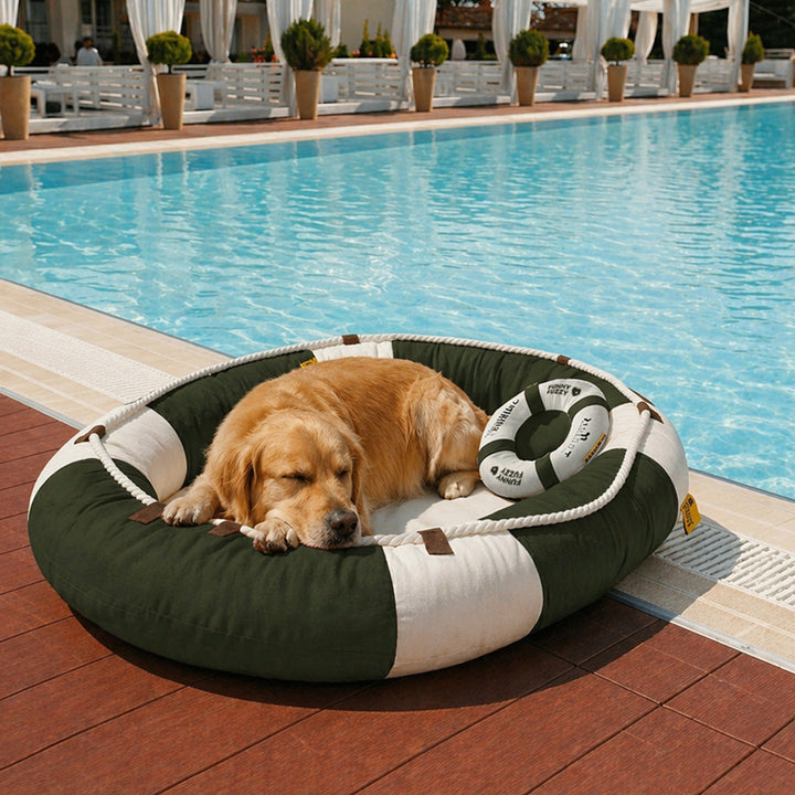 Wasserdichtes Kühlbett für Katzen & Hunde, modernes Bootsdesign mit weichem Kissen, perfekt für warme Tage.