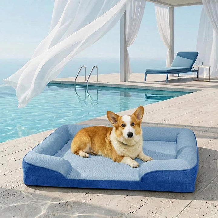 Kühlendes orthopädisches Hundesofa XL für große Hunde; waschbares, komfortables Tierbett.