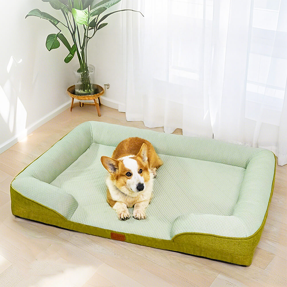 Kühlendes Hundebett für große Rassen, orthopädisch. Waschbar für einfache Pflege.