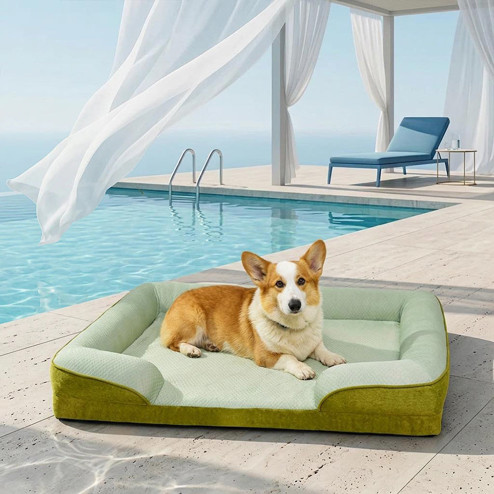 Orthopädisches Hundebett für große Rassen, kühlend & waschbar. Ideal für XL-Hunde.